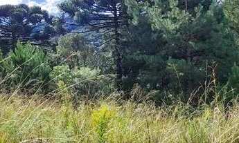 Imagem 2: Terreno à Venda em Gramado no Loteamento Marsal!