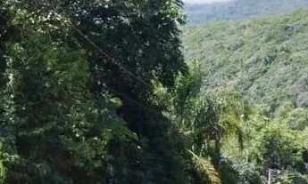 Imagem 7: Terreno para Venda em Nova Petrópolis, Juriti