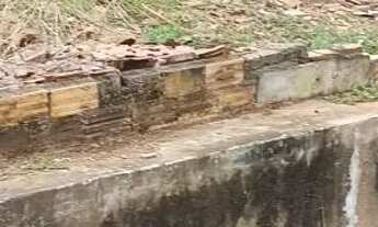 Imagem 3: Chácara em aparecida de Goiânia