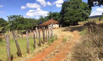 Imagem 3: Fazenda de 35 alqueires