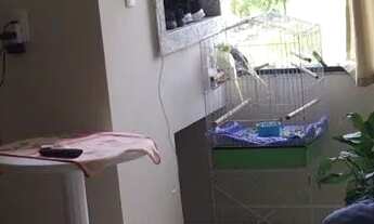 Imagem: Alugo Apartamento Camboriú