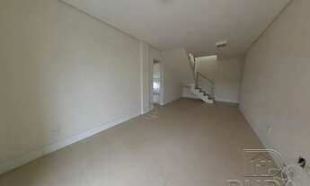 Imagem 4: Jequitiba à venda