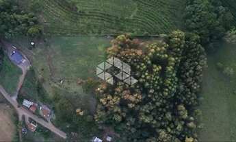 Imagem 3: Chácara (pomar) de 13,12ha na Linha 10 de Julio em Antonio Prado