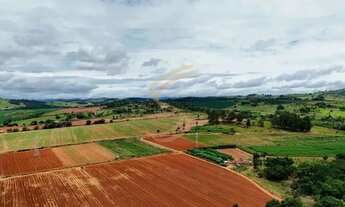 Imagem 5: Área à venda com 03 alqueires na rodovia com alto potencial de valorização