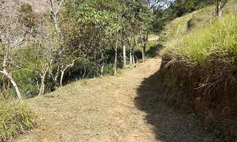 Imagem 5: Sítio com 12 ha sendo 6,5 de eucaliptos com 12 anos