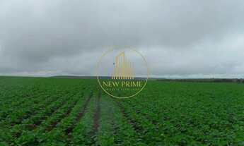 Imagem 3: Fazenda à Venda Unaí/MG 472 ha