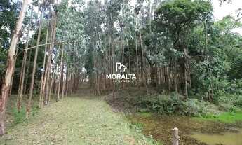 Imagem 6: Chácara à Venda no Campestre Tijucas do Sul