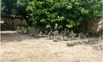 Imagem 3: Vende-se Casa 15x40