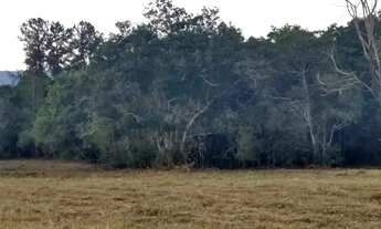 Imagem 6: Lote em Estrada Municipal - São Benedito - São Pedro/SP