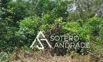 Imagem 4: Oportunidade de terreno na praia Massaguaçu