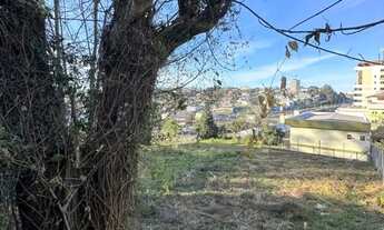 Imagem 3: CAXIAS DO SUL - Terreno Padrão - SANVITTO