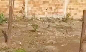 Imagem 2: Lote 6 por 30 Terreno / lote com venda por R$65.000