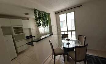 Imagem 4: Ótima Oportunidade: Apartamento para venda todo mobiliado - Bela América