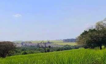 Imagem: 16 alqu com 81 de cana em Ibira