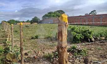 Imagem 7: Lotes no Recanto das Andorinhas Bairro Mosqueiro, 2500m²