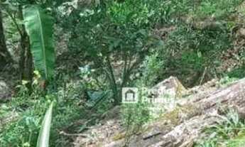 Imagem 6: Terreno à venda, 1150 m² por R$ 260.000,00 - Mury - Nova Friburgo/RJ