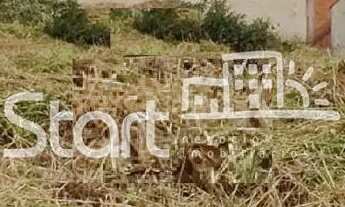 Imagem: Terreno - Jardim Pinheiros - Valinhos