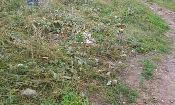 Imagem 3: Vendo dos lotes altos do Jaguarema