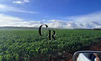 Imagem: Fazenda em São João da Aliança GO - 248