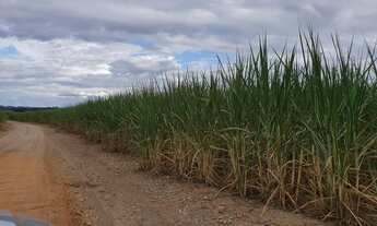 Imagem 2: Fazenda 44 alqueires Cana de Açúcar - Piracicaba SP