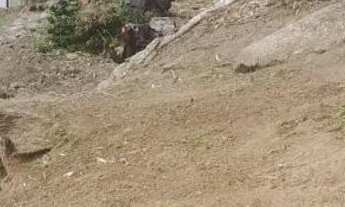 Imagem 7: Terreno 10X49,80