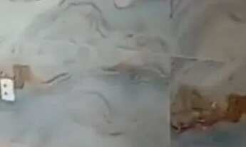 Imagem 4: AGIO R$105 MIL Apartamento com 2 dormitórios