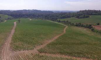 Imagem 3: Fazenda 44 alqueires Cana de Açúcar - Piracicaba SP