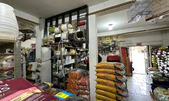 Imagem 4: Sala comercial + 2 apartamentos na Av. Principal