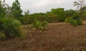 Imagem 4: FAZENDA 106 ALQUEIRES CRISTALÂNDIA TO