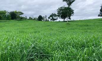 Imagem: Vendo uma Fazenda muito boa