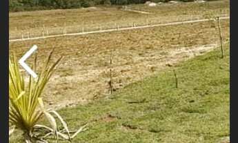 Imagem 3: Sítio com 2ha a venda