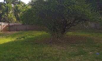 Imagem 3: Chácara maravilhosa com 15.000m2 em União dos Palmares