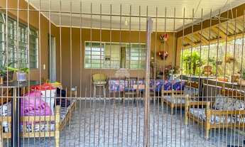 Imagem 3: Casa 4 quartos no Bairro Jardim Pioneiro