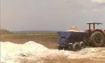 Imagem 7: Fazenda 74 Alqueires Região De Palestina /GO