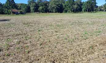 Imagem: Venda de sitio