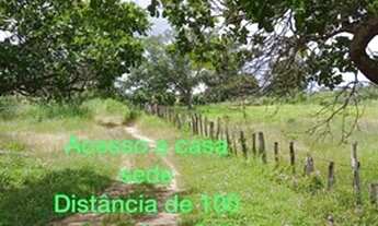 Imagem 3: Fazenda para Venda em Floriano, 4 dormitórios, 3 vagas