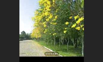 Imagem 3: Casa alvenaria 3 quartos