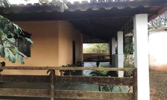 Imagem 5: Fazenda 1.200 Hac Dupla Aptidão...Eucalipto, Café,Manga E Pastagem.