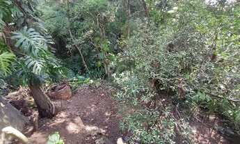 Imagem 3: Casa para Venda - 134m², 2 dormitórios, 1 vaga - Nonoai