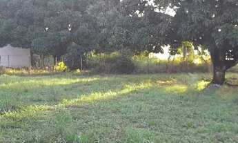 Imagem 3: Terreno plano. Da para fazer 19 lotes