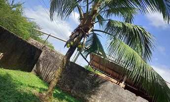 Imagem 2: Vendo sitio muito prospero