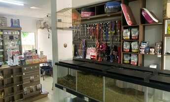 Imagem 2: Vende - se Casa de Ração