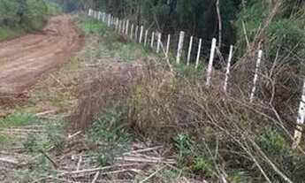 Imagem 3: Linda Fazenda em Guarapuava 79,5 alqueires paulistas