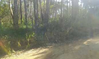 Imagem 4: LOTES A VENDA EM IBIÚNA-SP LUGAR TRANQUILO PARA MORAR OU PASSAR FINAL DE SEMANA