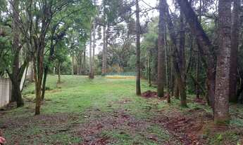 Imagem 7: TERRENO à venda com 3000m² por R$ 370.000,00 no bairro Butiatuvinha - CURITIBA / PR