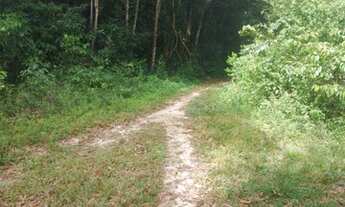 Imagem: Lote/Terreno para venda com 40 metros quadrados