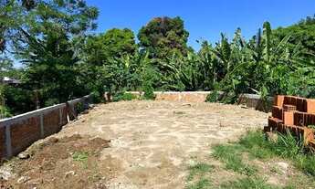 Imagem 4: Terreno perto do Mercado Adônai aluga ou vende mato alto