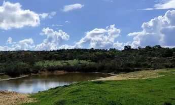 Imagem 2: Fazenda com 709 hectares e 10 km de margem de rio