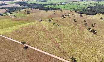 Imagem 3: 44 alqueires - Excelente aproveitamento