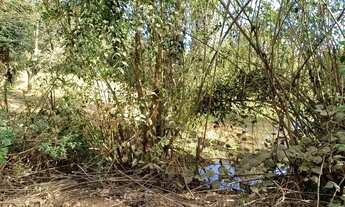 Imagem 6: Terreno de 1800 m² em Funilândia